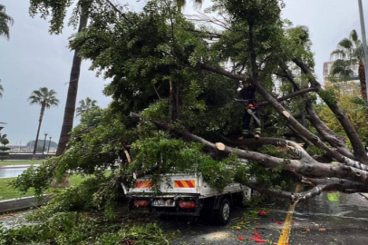 Mersin’de yağmur faciası: Devrilen ağaç 3 araca zarar verdi