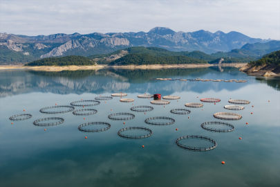 Karacaören Barajı'nda sessiz ekonomik patlama