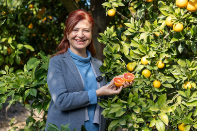 Tarımsal miras koruma altında: Mersin Kan Portakalı tescillendi