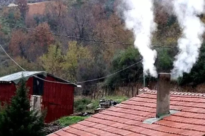 Adana Ekoloji Platformu Sözcüsü Gökoğlu: Dar gelirli vatandaşlara kömür değil doğalgaz desteği sağlanmalı