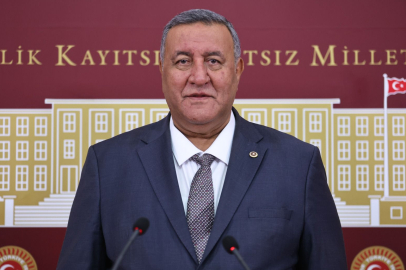 Gürer: Sofralarımızdaki zeytinin geleceği tehlikede