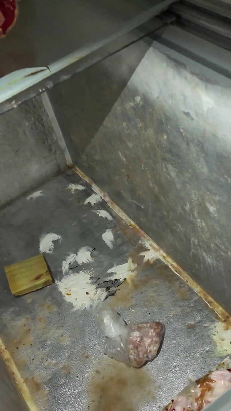 Hatay'da mide bulandıran manzara Kokuya dayanamayan zabıta o işletmeyi mühürledi 3