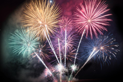 Havai fişekli yeni yıl kutlamaları, kuşlar için felakete dönüşüyor