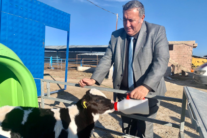 Gürer: Süt ve süt ürünlerindeki fiyat artışı hem üreticiyi hem tüketiciyi vurdu