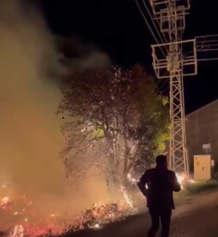 Mersin Bozyazı'da sazlık alanda yangın 2