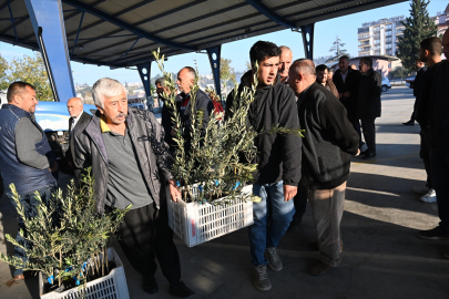 Osmaniye Kadirli'de üreticiye destek: 10 bin 500 zeytin fidanı dağıtıldı