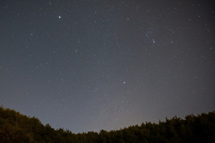 NEDEN RENKLİ GÖRÜNÜYORLAR?