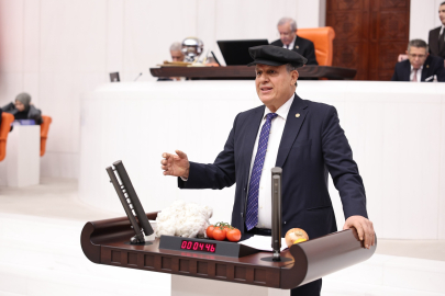 Barut: Çiftçi üreterek batıyor, tarım desteklenmeli