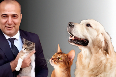 Yıldırım: Bir kap su, bir kap mama bir canın hayatına umut olabilir