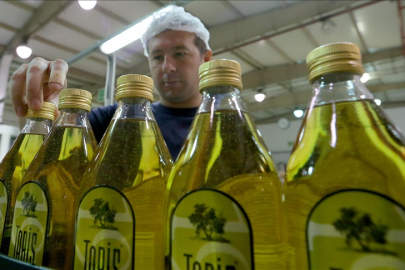 Zeytinyağı alım fiyatları 2025-2026 açıklandı: TARİŞ güncel fiyat listesini duyurdu