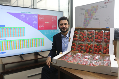 Adana'da tarım 4.0 dönemi: Yapay zeka destekli seradan 7 ülkeye ihracat