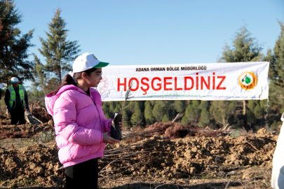 Alevlerin kül ettiği alanlar yeniden yeşerecek