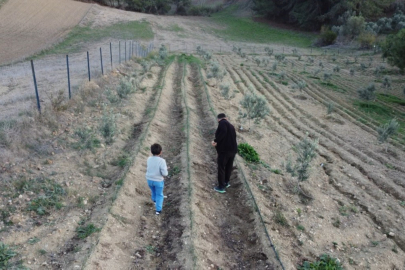 Osmaniye'de deprem sonrası köye yerleşen noter katibi ata tohumu dağıtıyor
