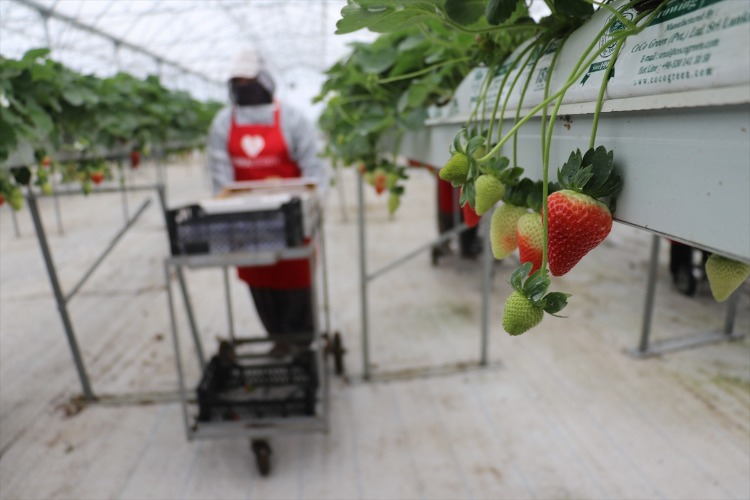 “TEKNOLOJİYİ KULLANDIKÇA VERİM ARTIYOR”