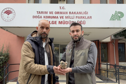 Adana’da yaralı kerkenez tedavi altına alındı