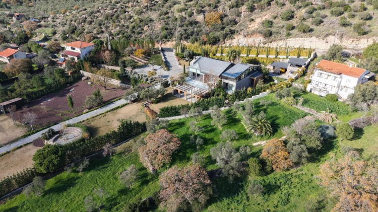 Fenerbahçe Başkanı Sadettin Saran