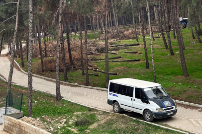 Mesire alanındaki ağaç kesiminin perde arkası