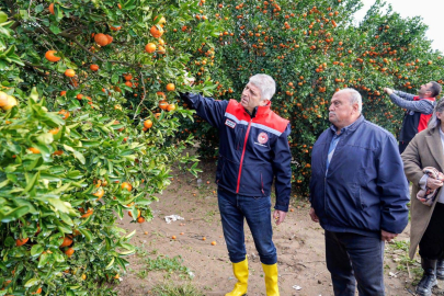 Adana’da dolu sonrası tarım alanlarında hasar tespiti başladı