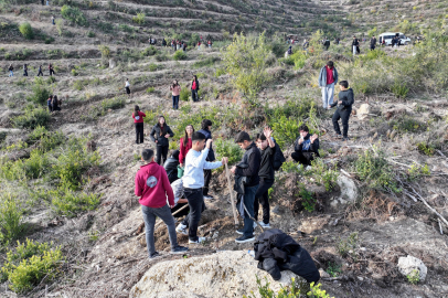Geleceğin ormanları genç ellerle yeşeriyor