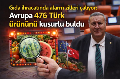 Gıda ihracatında alarm zilleri çalıyor: Avrupa 476 Türk ürününü kusurlu buldu