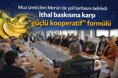 Muz üreticileri Mersin'de yol haritasını belirledi: İthal baskısına karşı "güçlü kooperatif" formülü