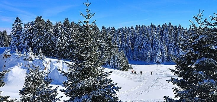 Esentepe Kayak Merkezi