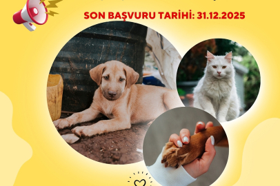 Evcil hayvan sahipleri için uyarı takvimi: Süre daralıyor