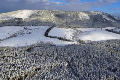 İstanbul’da beklenen kar yağışı başladı, Aydos Ormanı havadan görüntülendi