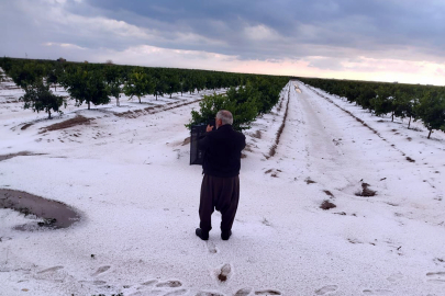 Adana'da dolu yaraları sarılmadan don alarmı