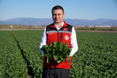Zirai don kapıda: Osmaniye’de sıcaklık eksi 3’e geriliyor