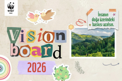 WWF Türkiye’den doğayla uyumlu gelecek için 'Hayal Panosu'