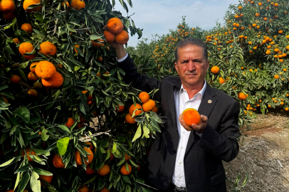 Don tehlikesi kapıdaydı, üretici tedbir aldı: Yüreğir’de korkulan olmadı