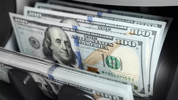 SERVET ARTIŞININ ARKASINDAKİ NEDENLER