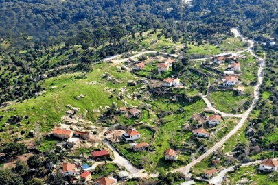 Zeytinlik ve çam ormanları arasında kül depolama alanı planına tepki