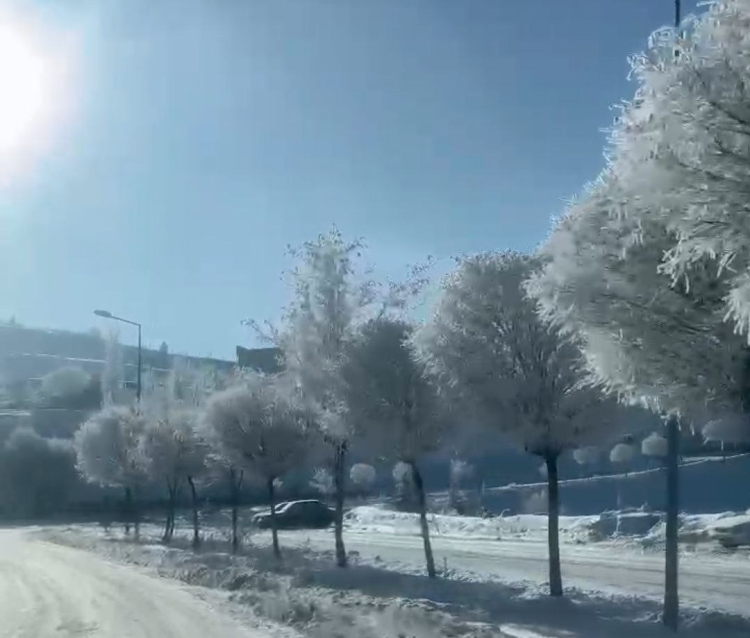 Adana Tufanbeyli'de eksi 20 derecede kartpostallık görüntüler 2