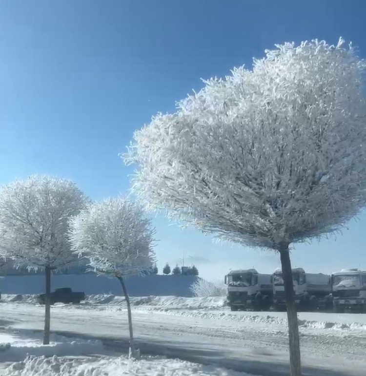Adana Tufanbeyli'de eksi 20 derecede kartpostallık görüntüler 3