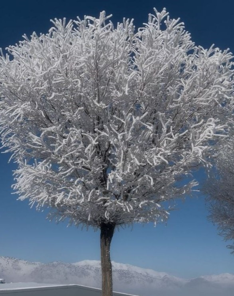 Adana Tufanbeyli'de eksi 20 derecede kartpostallık görüntüler 4