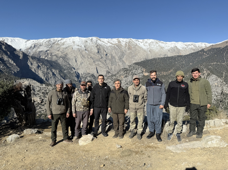 Toroslar’daki yaban keçileri Mersin’de yakından izleniyor 2