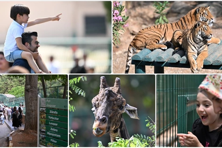 GAZİANTEP HAYVANAT BAHÇESİ NEREDE, HANGİ HAYVANLAR VAR? ZİYARET ETMEK İSTEYENLER İÇİN DETAYLI REHBER