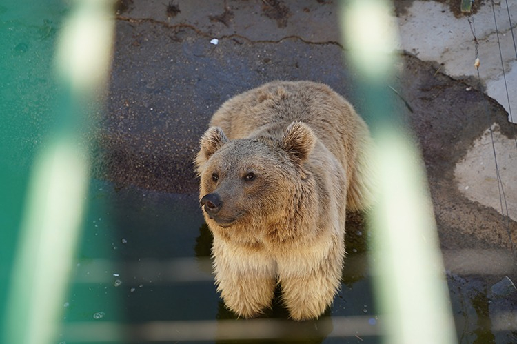 GAZİANTEP HAYVANAT BAHÇESİ NEREDE?