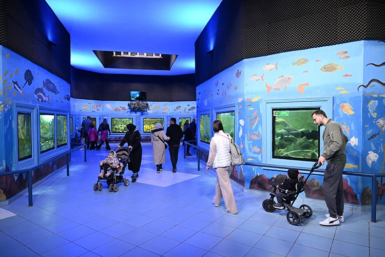 SAFARİ PARK VE AKVARYUM BÜYÜK İLGİ GÖRÜYOR