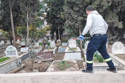 Adana Akkapı’da sokak köpekleri tedirgin etti: 1 köpek yakalandı