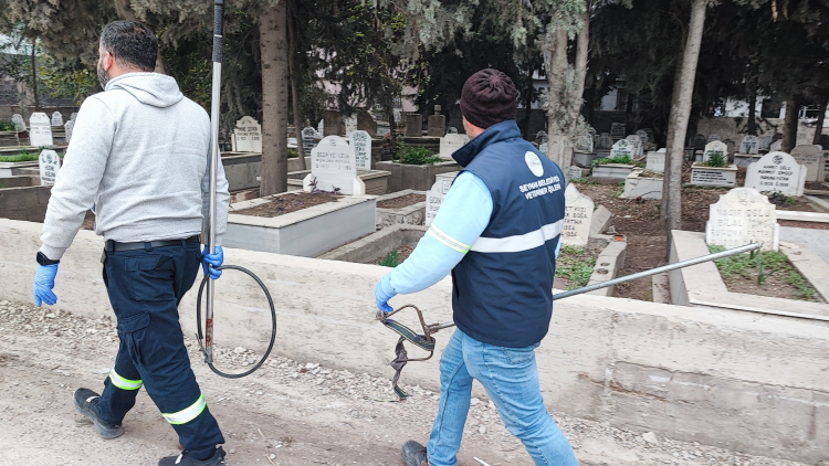 Adana Akkapı’da sokak köpekleri tedirgin etti 1 köpek yakalandı 2