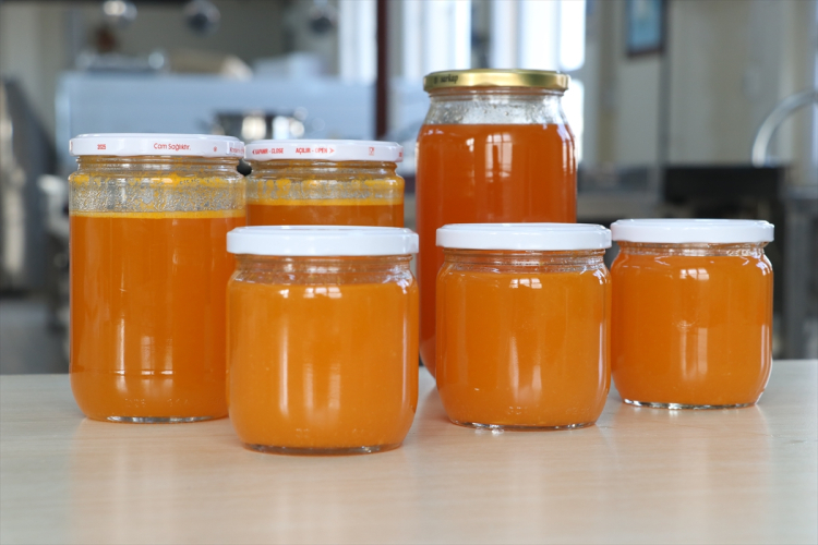 Hatay’da mandalinaya katma değer için meslek lisesinden destek 3