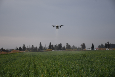Mersin’de dronla gübreleme çiftçinin maliyetini düşürdü