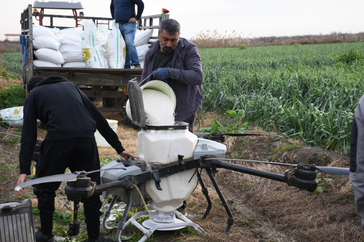 Mersin’de dronla gübreleme çiftçinin maliyetini düşürdü 2