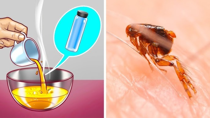 1. Kapılar ve Pencerelerden Başlayın