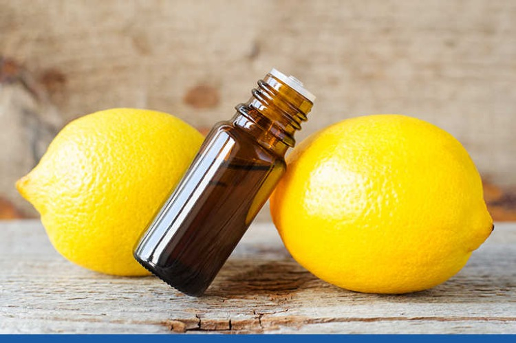 3. Sirke ile Doğal Bariyer