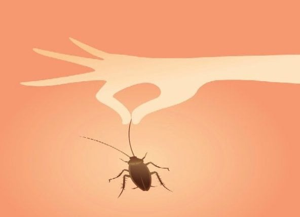 8. Çöp ve Lavabo Temizliği