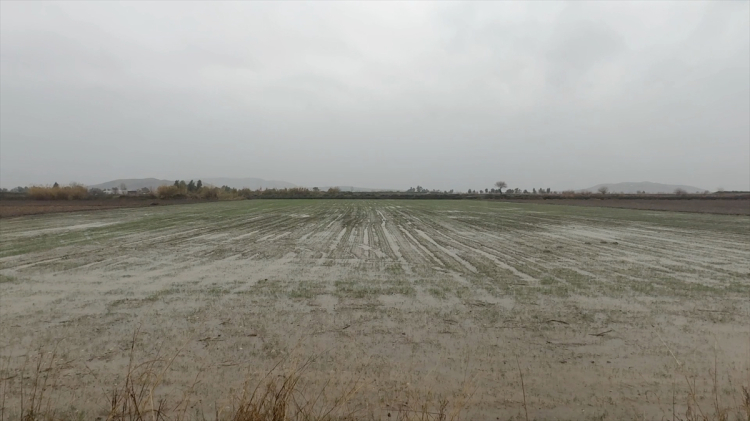 Osmaniye’de sağanak tarım arazilerini ve yolları göle çevirdi 5